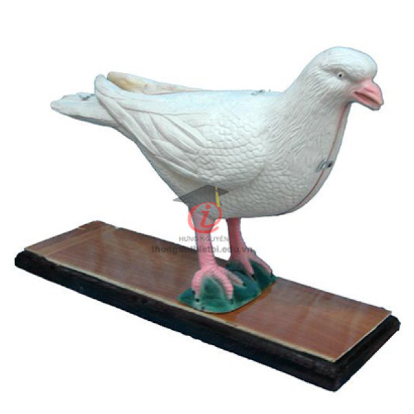 Mô hình Chim bồ câu (CSSH2075)